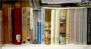 Sección de Libros y Folletos de la Biblioteca de Cuba Arqueológica.